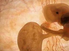 西宁试管第三代多少钱成功率多少？青海省西宁第三人民医院