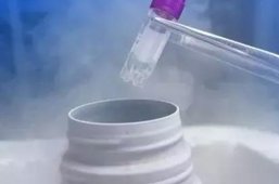 腺肌症可以去泰国做试管吗？大概需要花费多少钱？