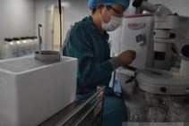 长沙试管婴儿比较好的生殖中心医院排名，附医院名单