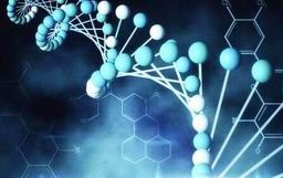 柬埔寨第三代试管婴儿如何(影响柬埔寨试管婴儿的因素有哪些)