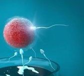 地中海贫血能做三代试管生小孩吗