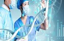 做试管卵泡取出前卵子形状扁是不是正常的？