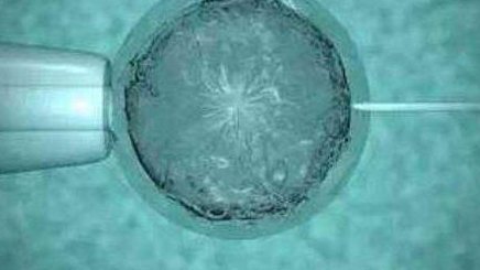 大理最大的助孕公司Top10排行，2026先搞清楚具备条件再说