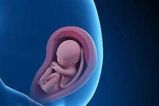 上海第九人民医院试管婴儿流程